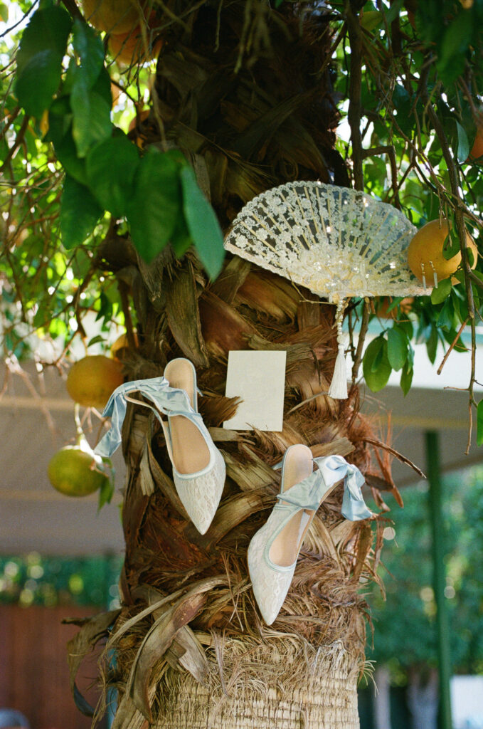 shoes, a fan and earrings hung on a tree taken on 35mm film