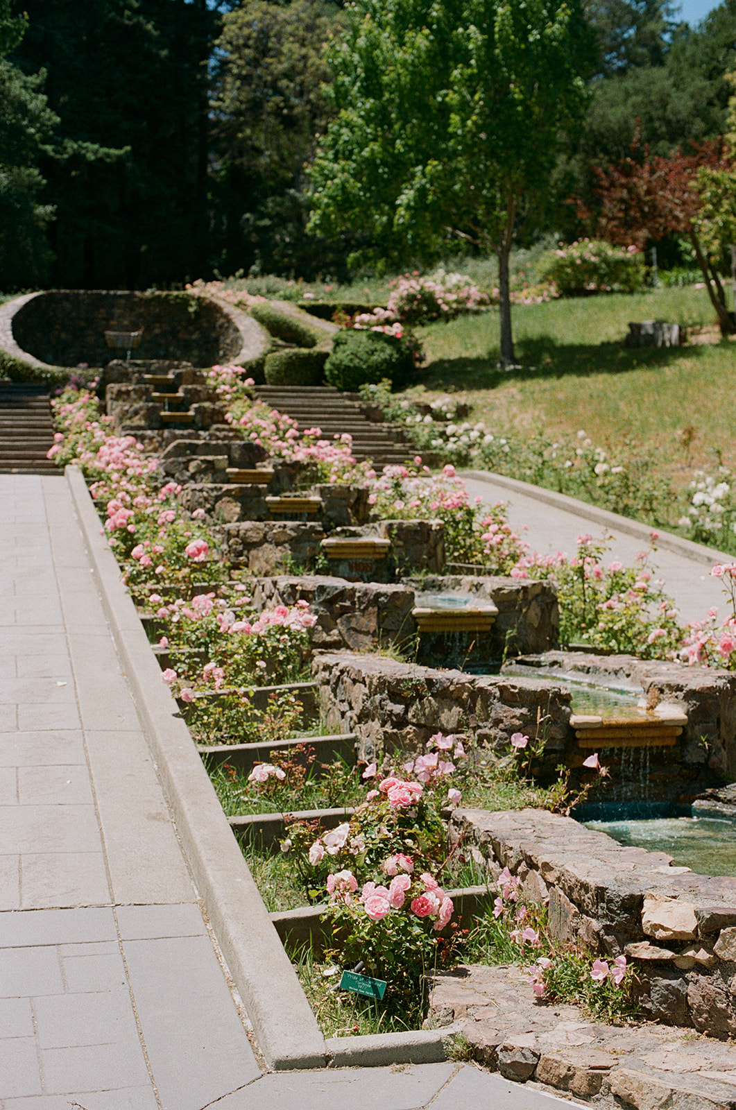 a wedding ceremony site in a park with a fountain and pink flowers 