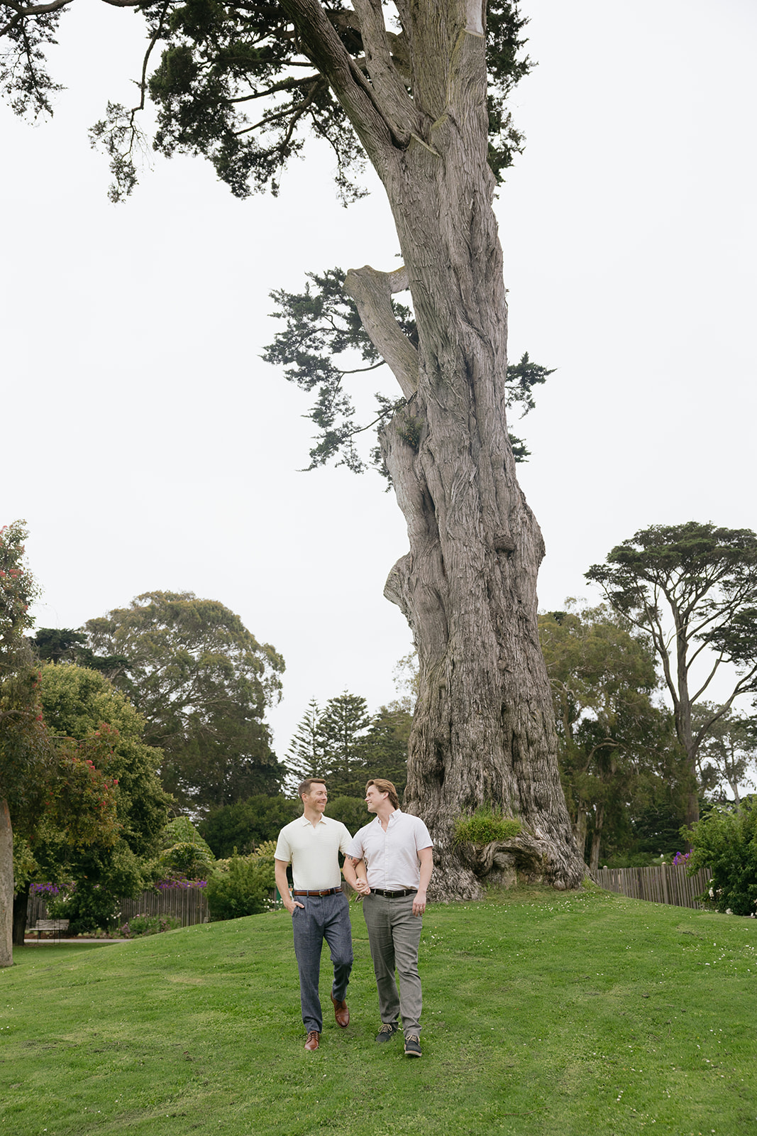 a couple linking arms and walking in front of a large tree at san francisco botanical gardens