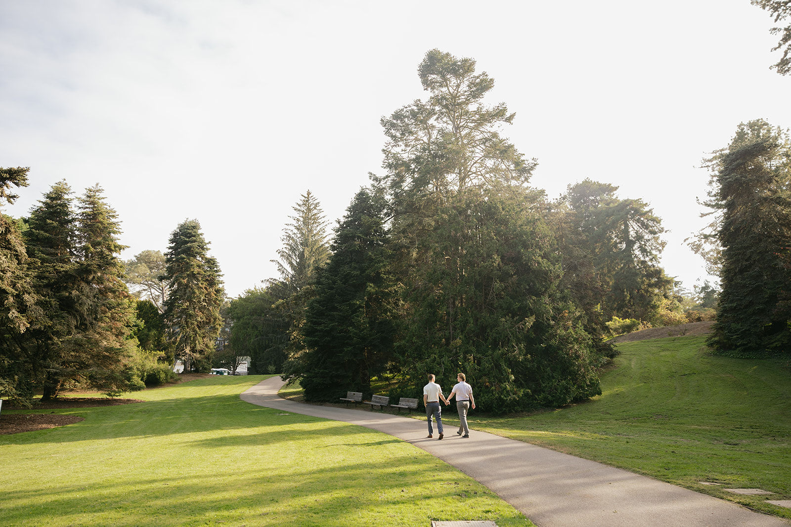 a couple holding hands walking down a path at the sf botanical garden