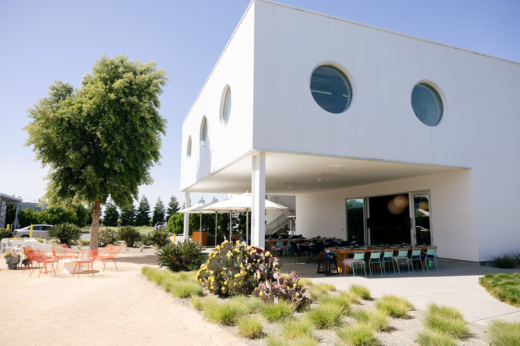 the backside of ashes and diamonds winery in napa valley 