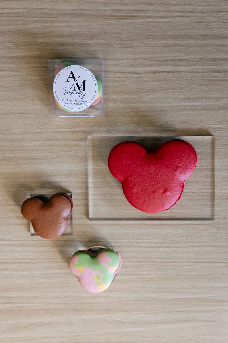 disney shaped macarons 