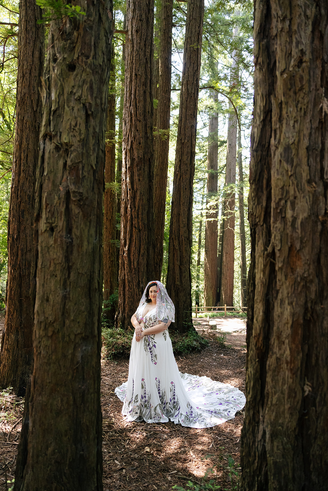 a bride standing between the redwood trees in roberts regional park 