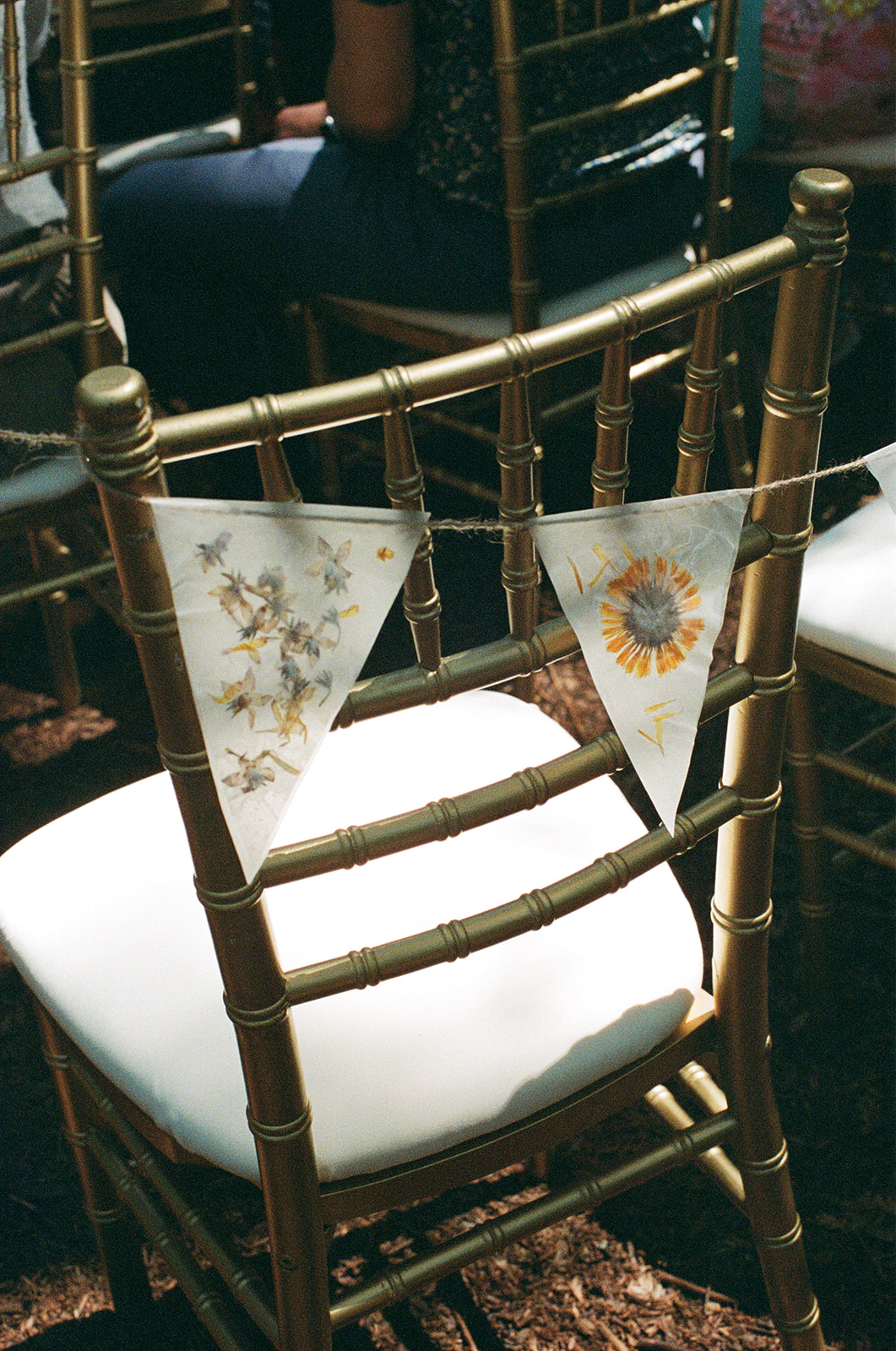 a film scan of a chair at a couple's wedding ceremony in roberts regional park 