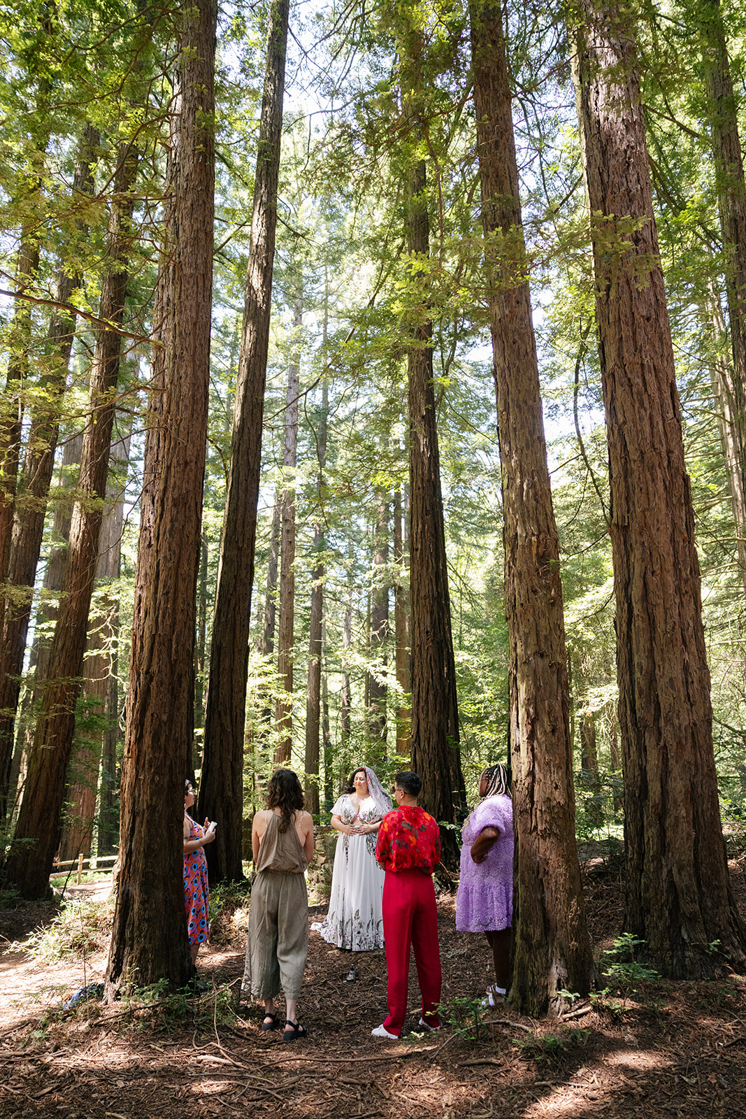 a bride talking to her wedding party standing underneath the redwood trees in roberts regional park 