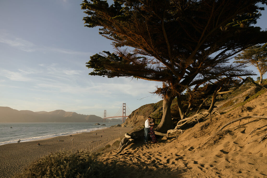 a couple posing under a large tree with the golden gate bridge in the distance